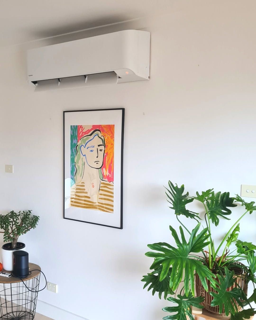 Bright Wall with Air Conditioner, Framed Portrait, and Green Plants — Alpine Refrigeration & Air Conditioning Pty Ltd in Wollongong, NSW