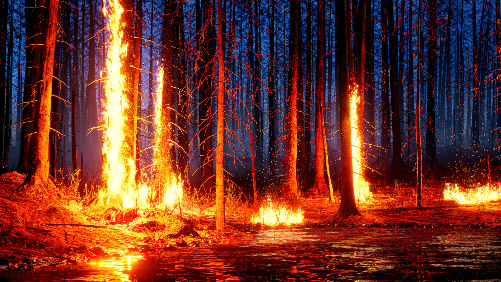 Forest wildfire with tall flames blazing among dark tree trunks at night