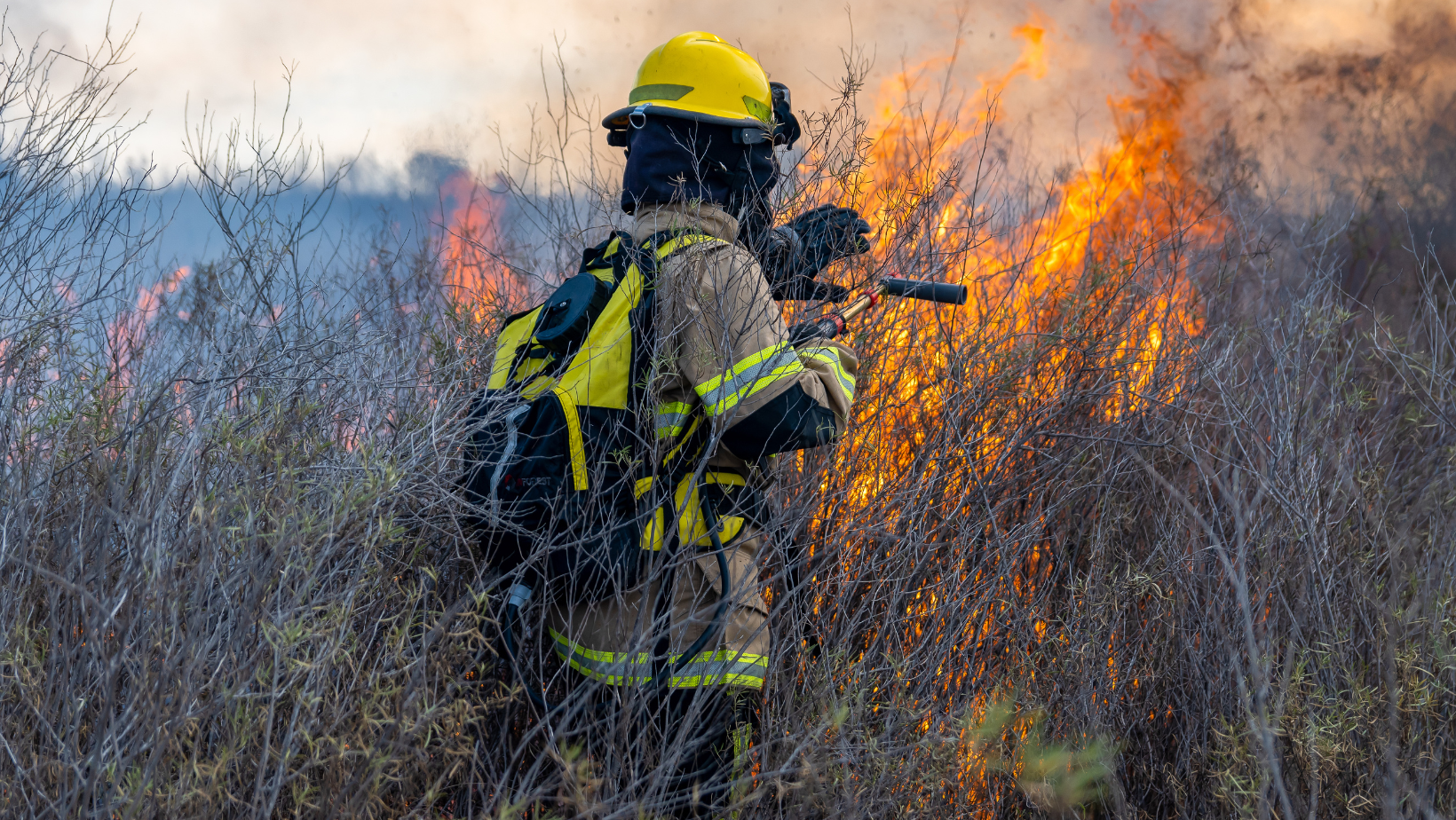 Firefighter in yellow gear battling a wildfire in dry brush, flames burning on the right.