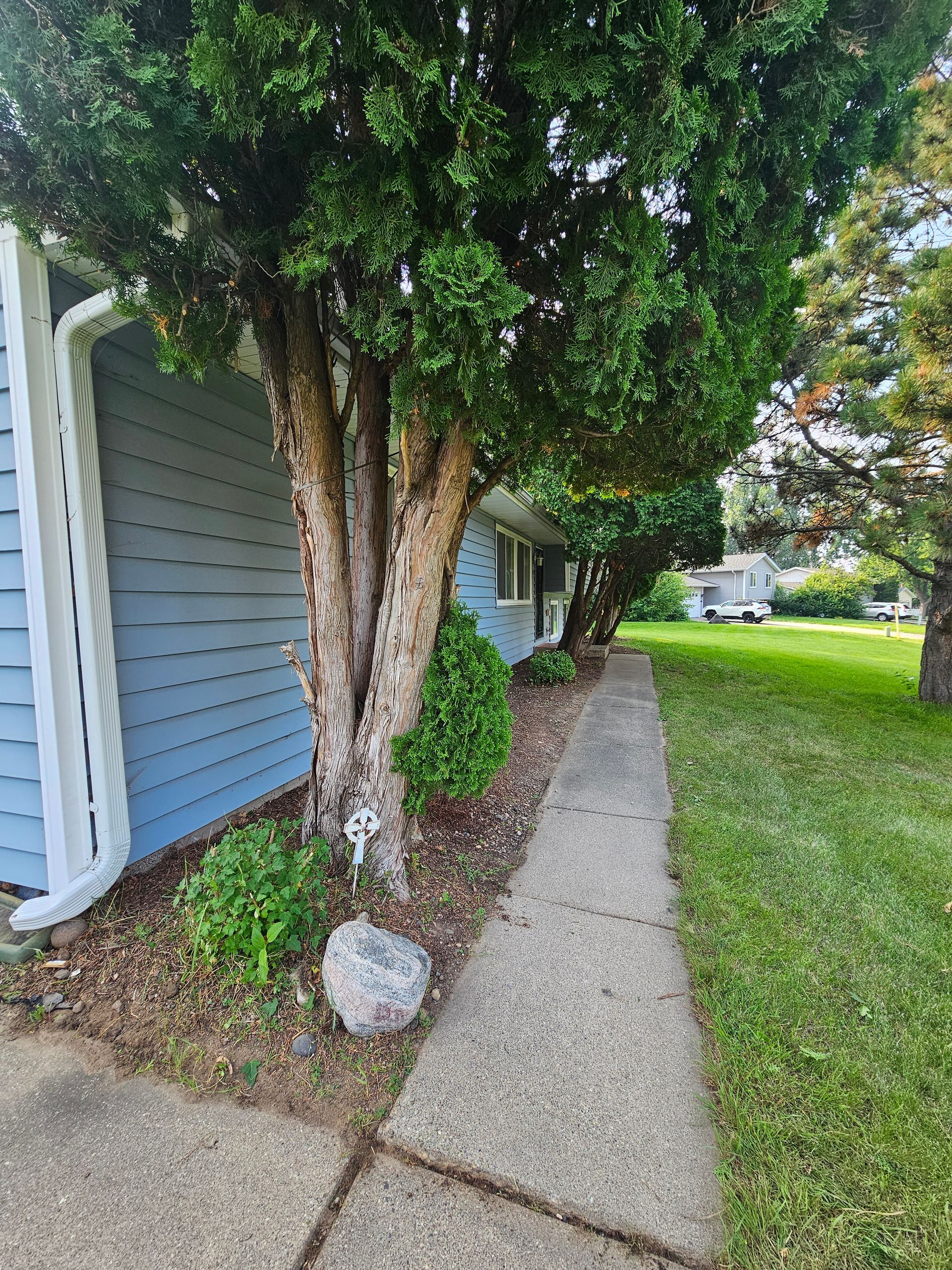 Concrete walkway beside blue building with trees and green grass.