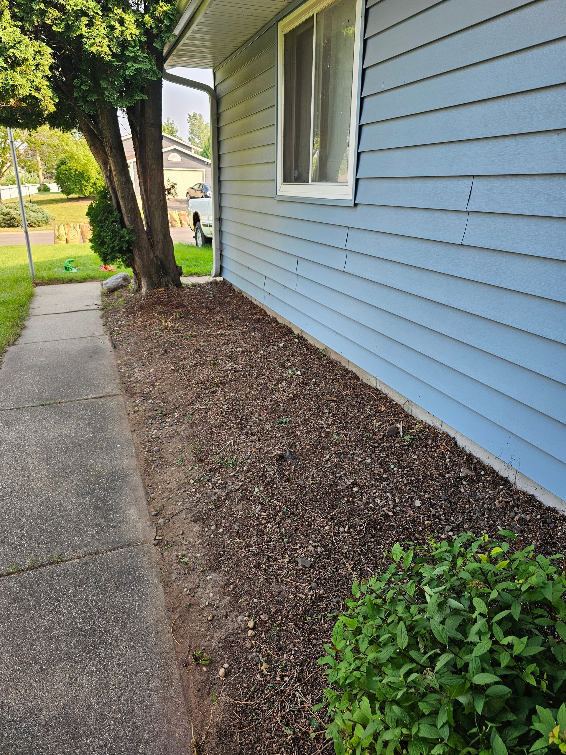 Blue-sided house with mulch bed alongside concrete sidewalk. A small bush is near the right bottom.