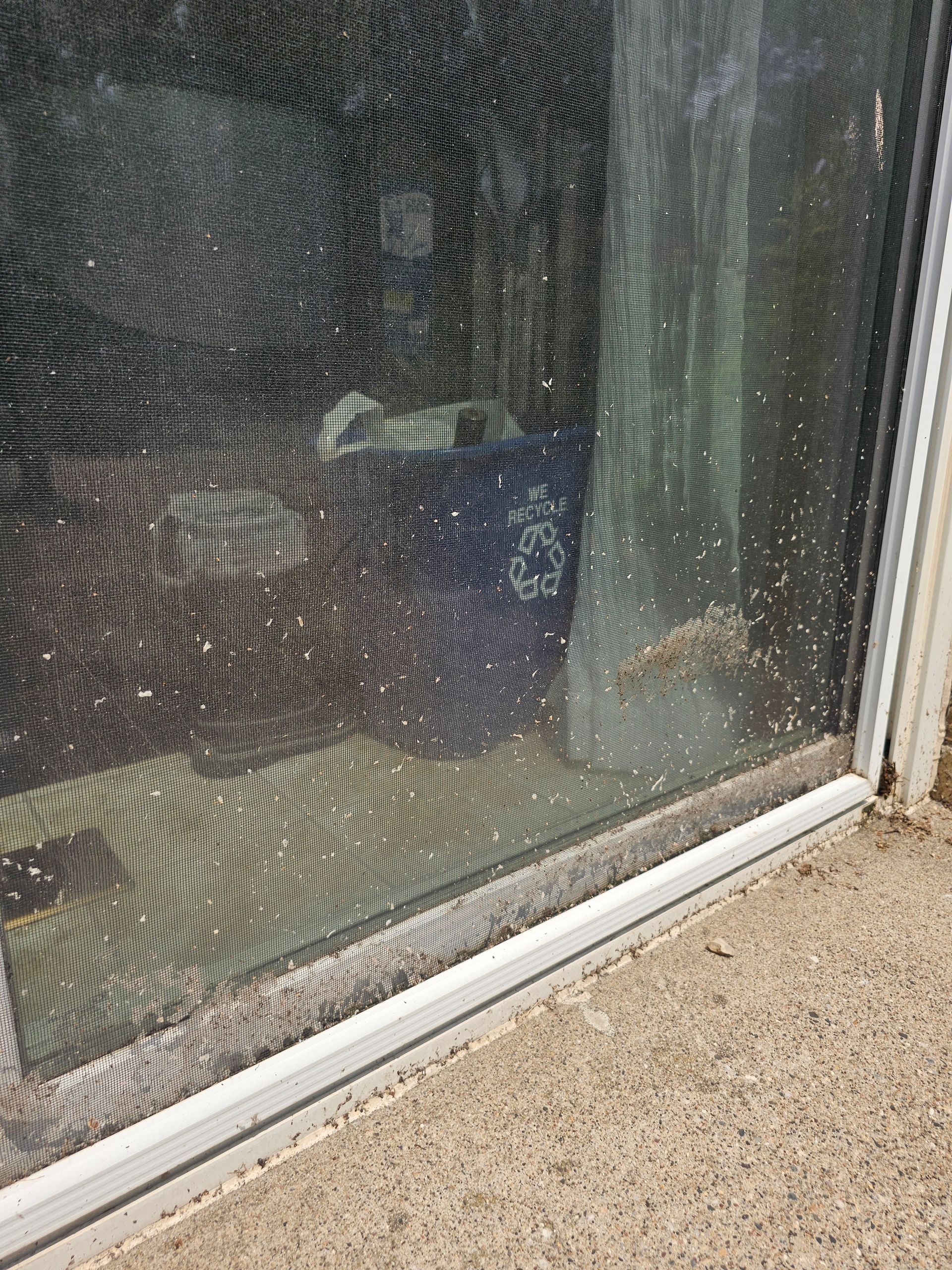 Screen door with white specks, likely pollen, on a window frame and concrete.
