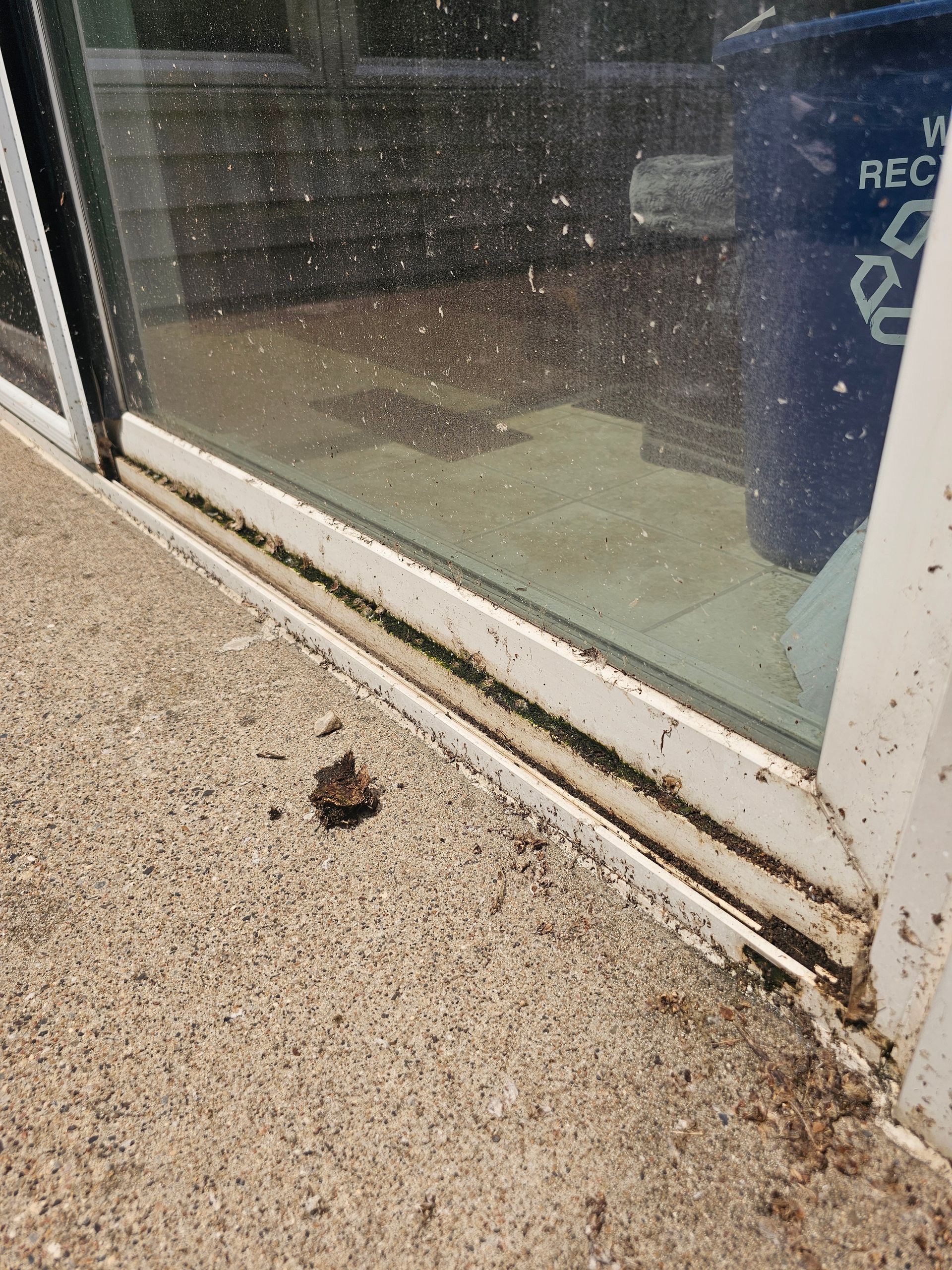 Sliding glass door with dirt and grime in the track. Concrete floor and blue recycling bin are visible.