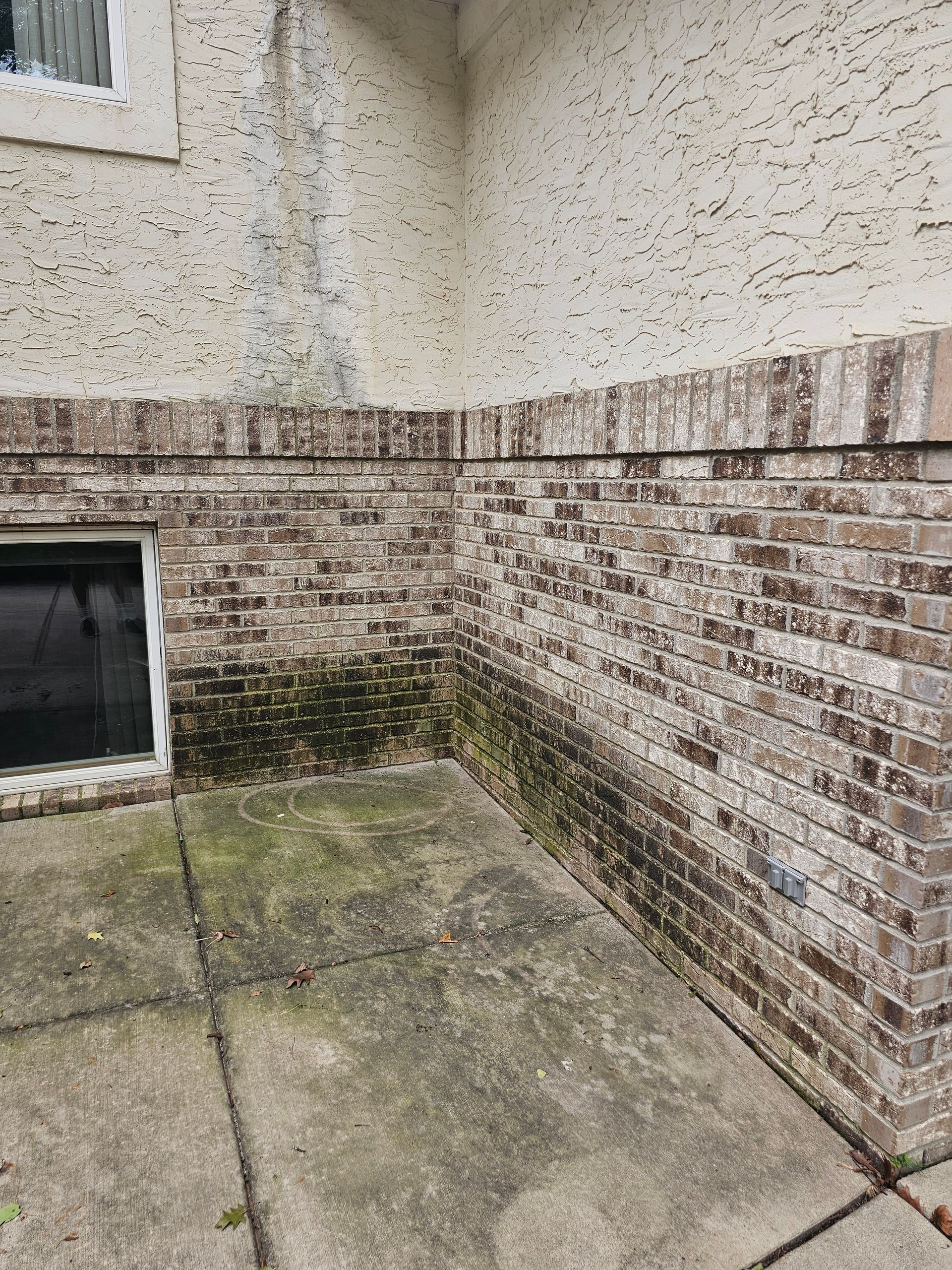 Brick and stucco exterior wall covered in algae and mildew, with a concrete patio.