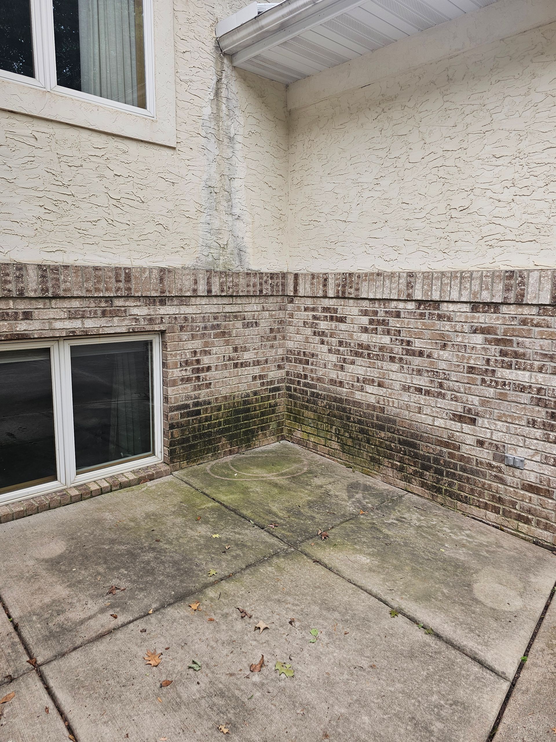 Brick and stucco exterior wall corner, with moss and mildew growth, and a concrete patio.