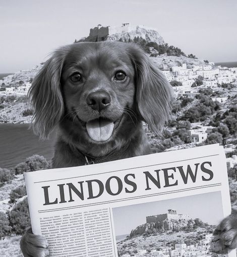 Black-and-white dog holding a newspaper labeled “LINDOS NEWS” in a hilly landscape.