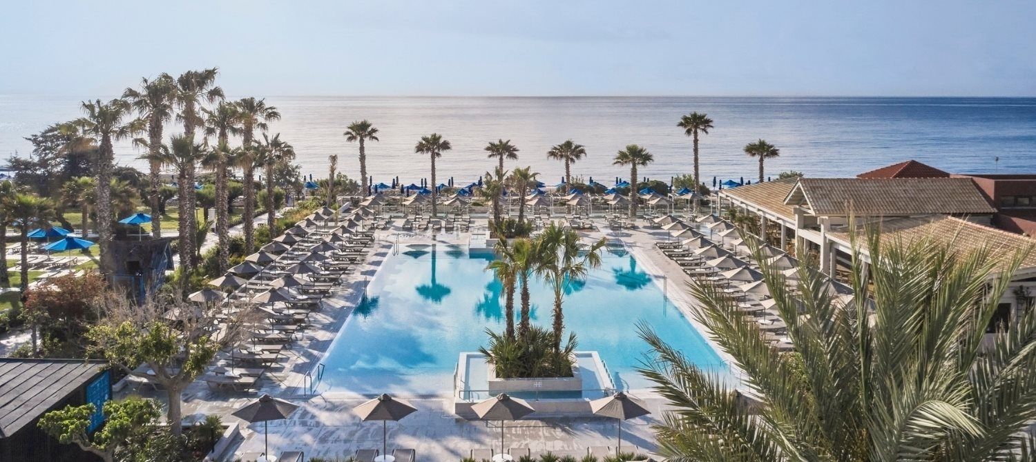 Resort pool surrounded by lounge chairs and palm trees overlooking the ocean
