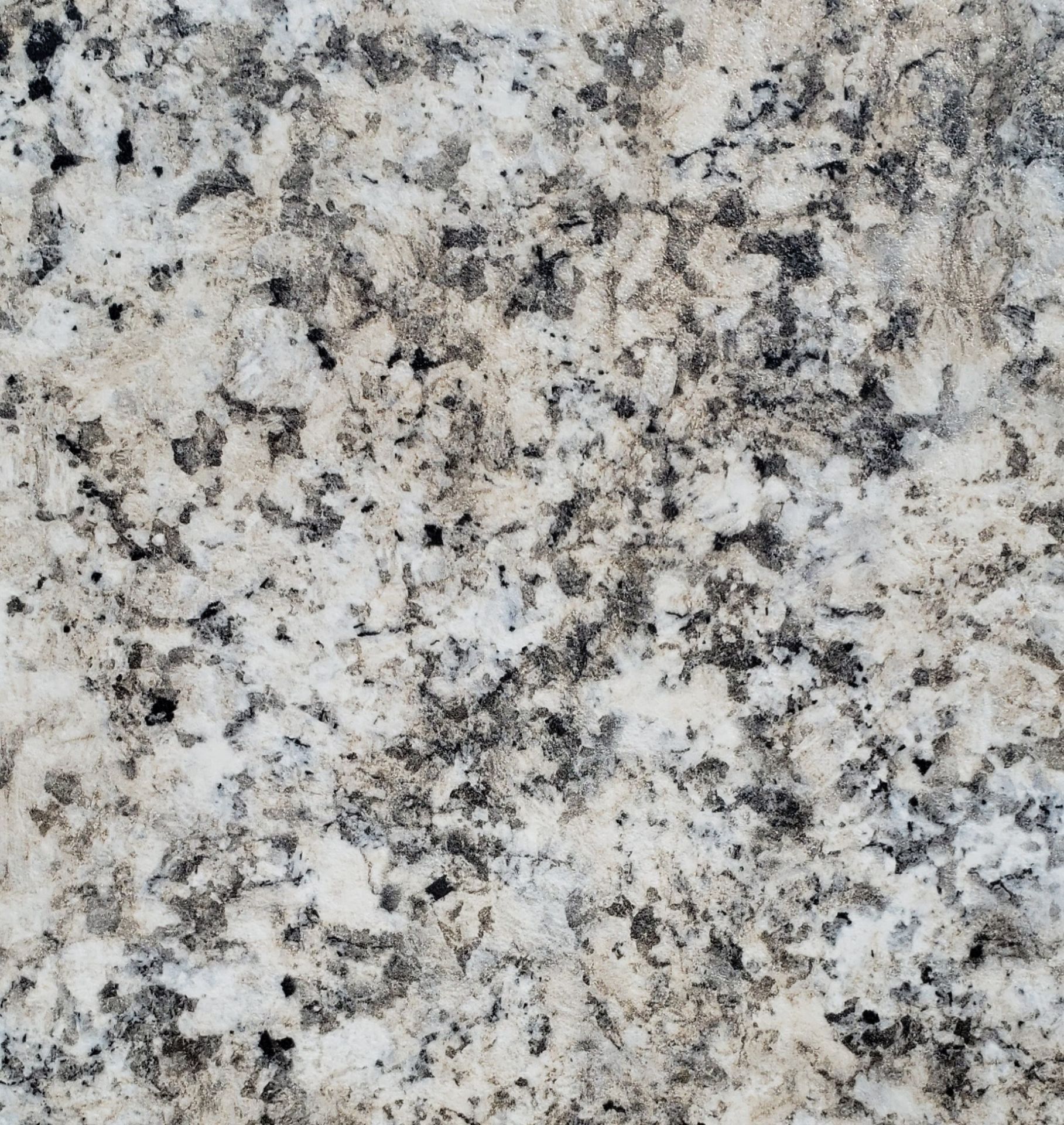 Close-up of a speckled gray, white, and black granite surface