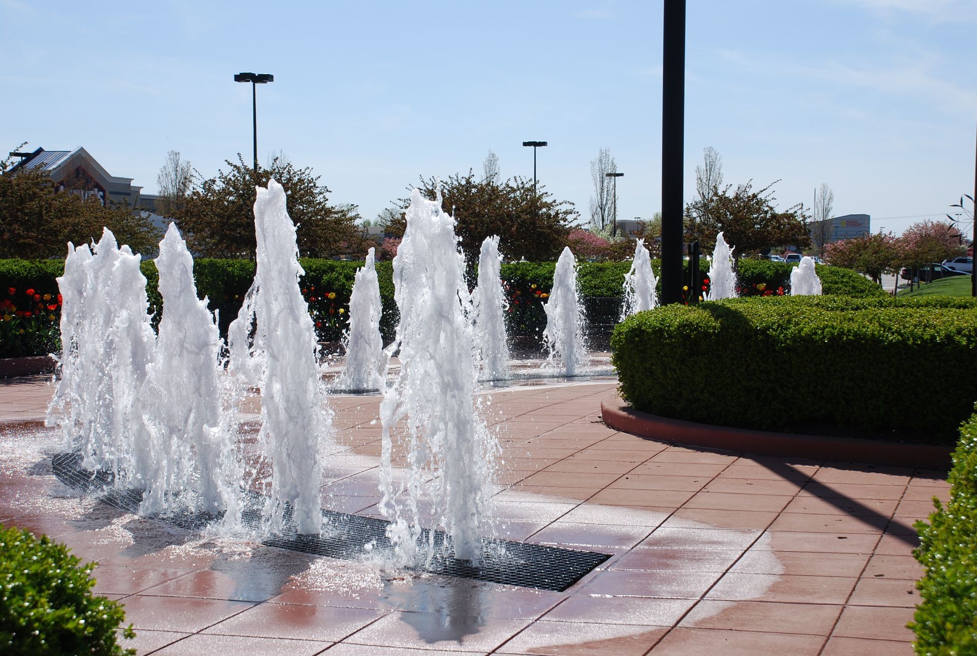 Fountains spraying water in a landscaped plaza with red brick and green bushes. Bright, sunny day. Plaza fountain jets spraying water beside trimmed hedges on a sunny day