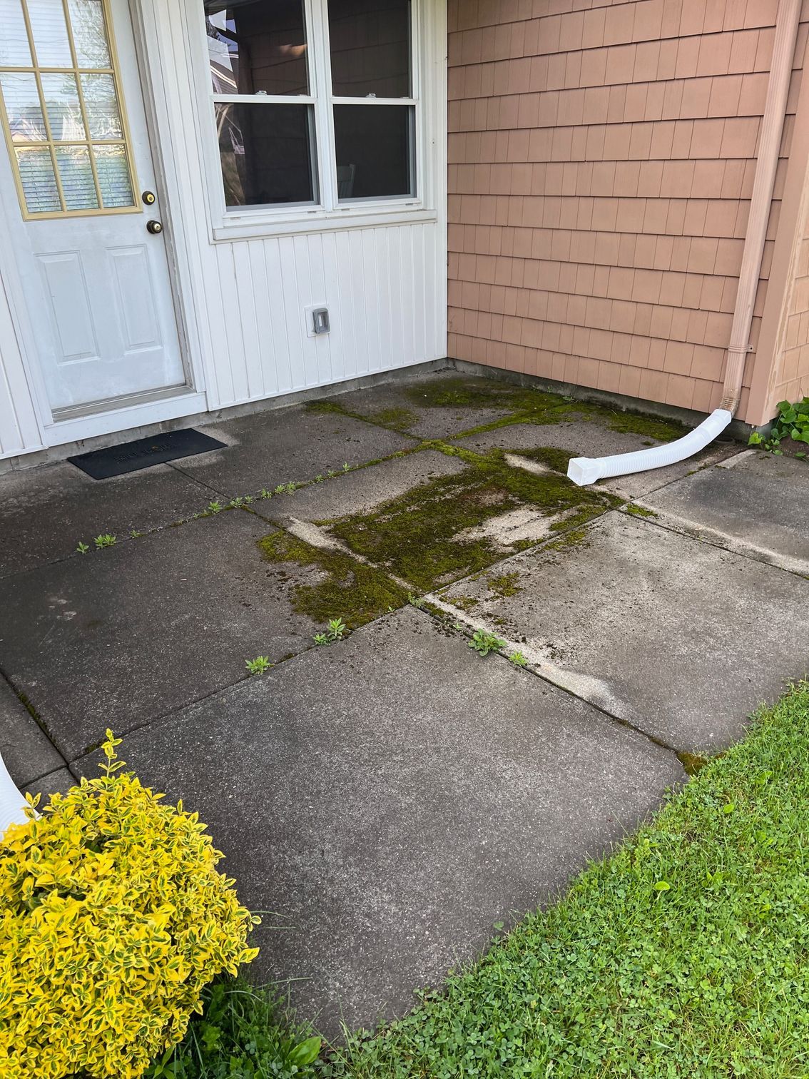A concrete walkway with moss growing on it in front of a house.
