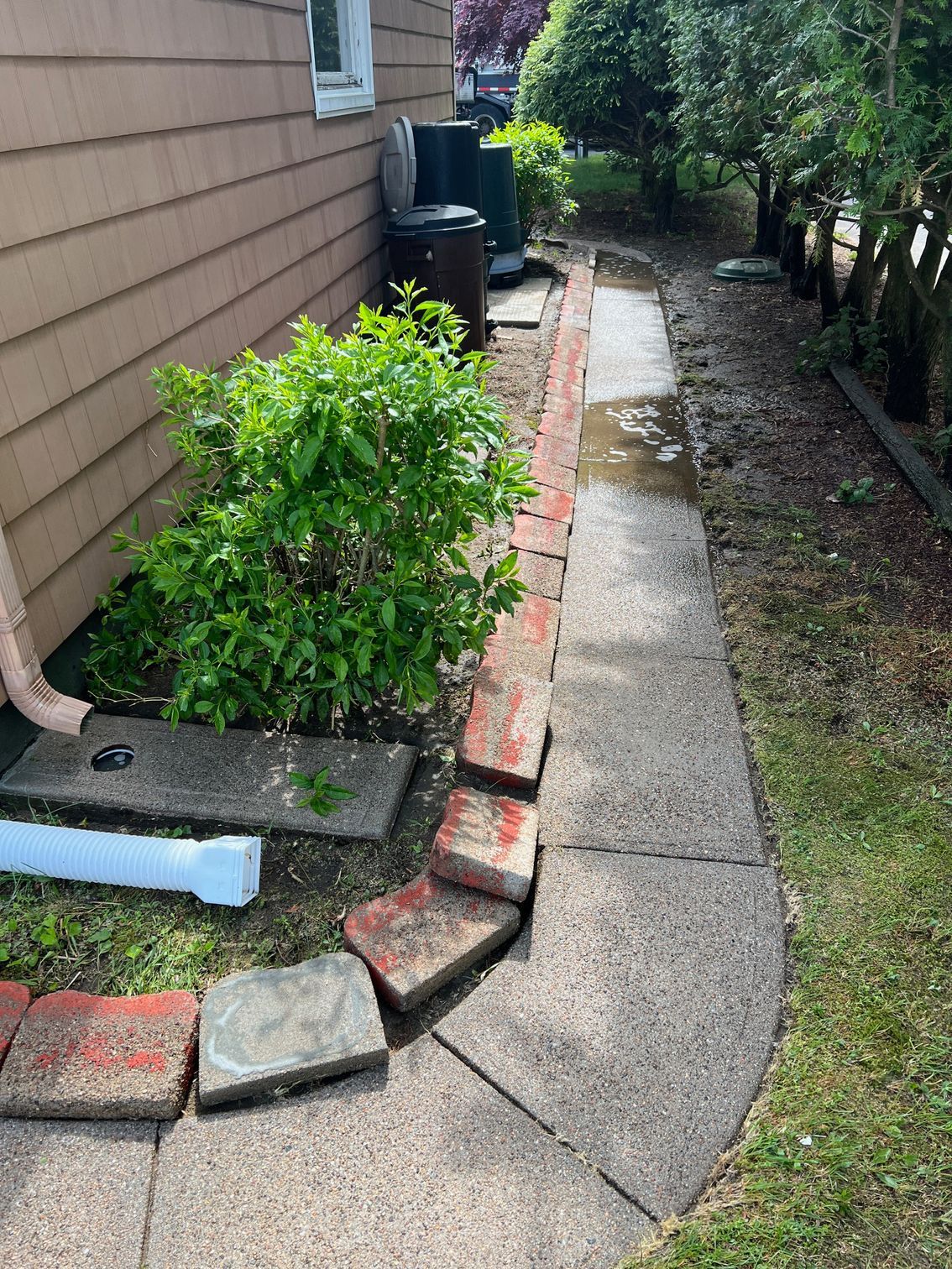 Sidewalk along a building with a bush, brick edging, and standing water.