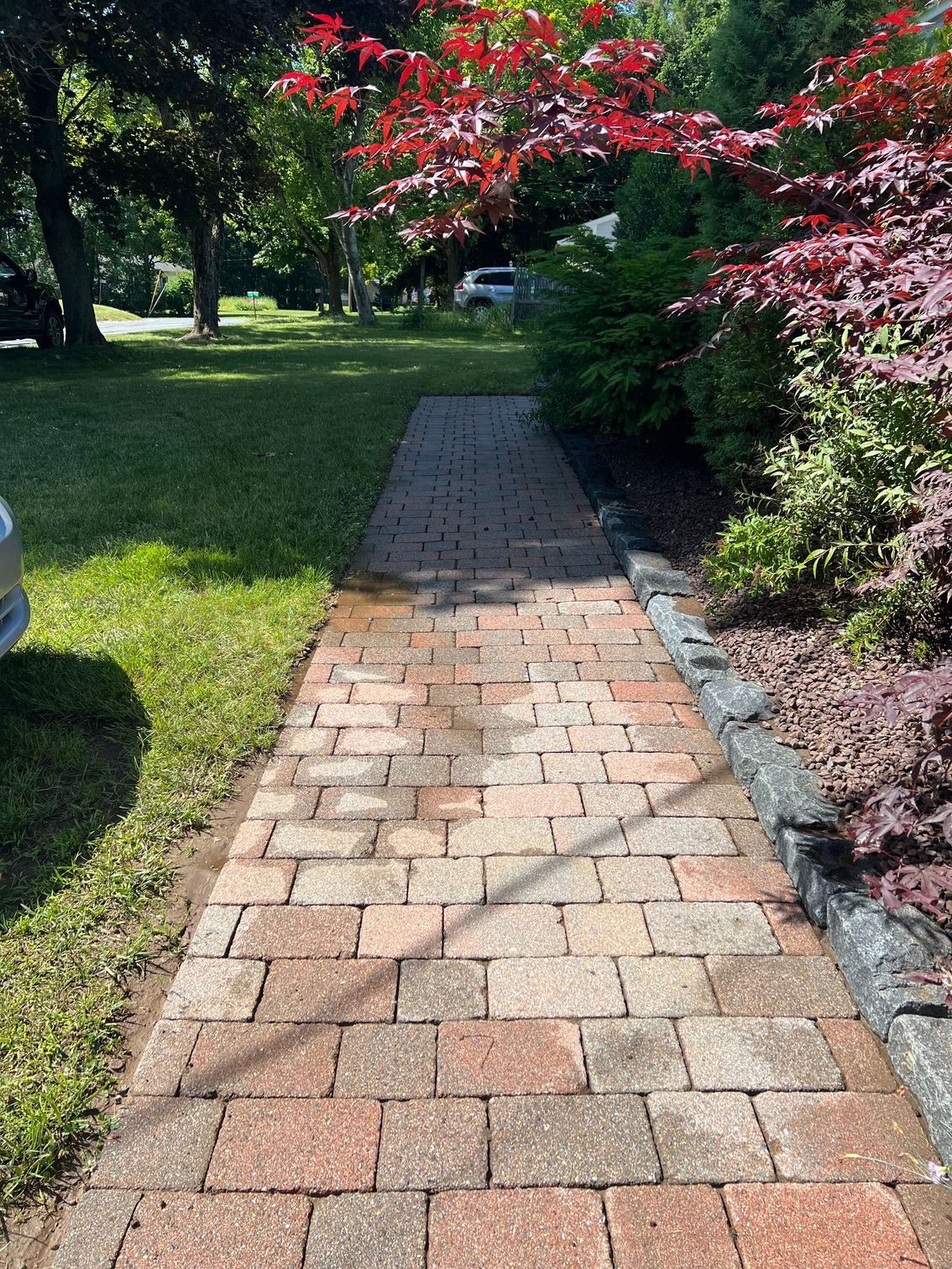 A brick pathway leads through a grassy yard, bordered by a dark stone edge on the right and a red-leafed tree overhead.