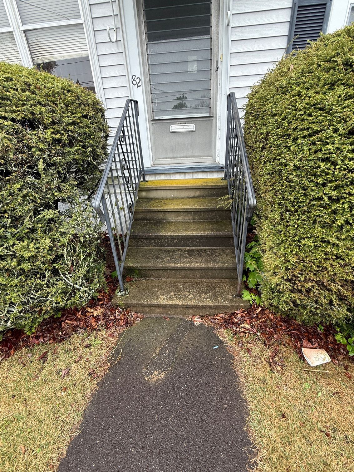 Front entrance with concrete steps, a black iron railing, and green bushes on either side. The door is gray with a screen.