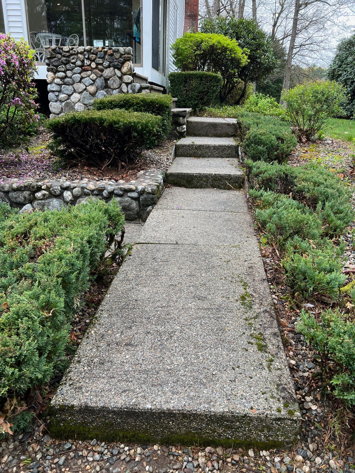 Concrete walkway with steps leading to a house entrance, surrounded by green bushes and a stone wall.