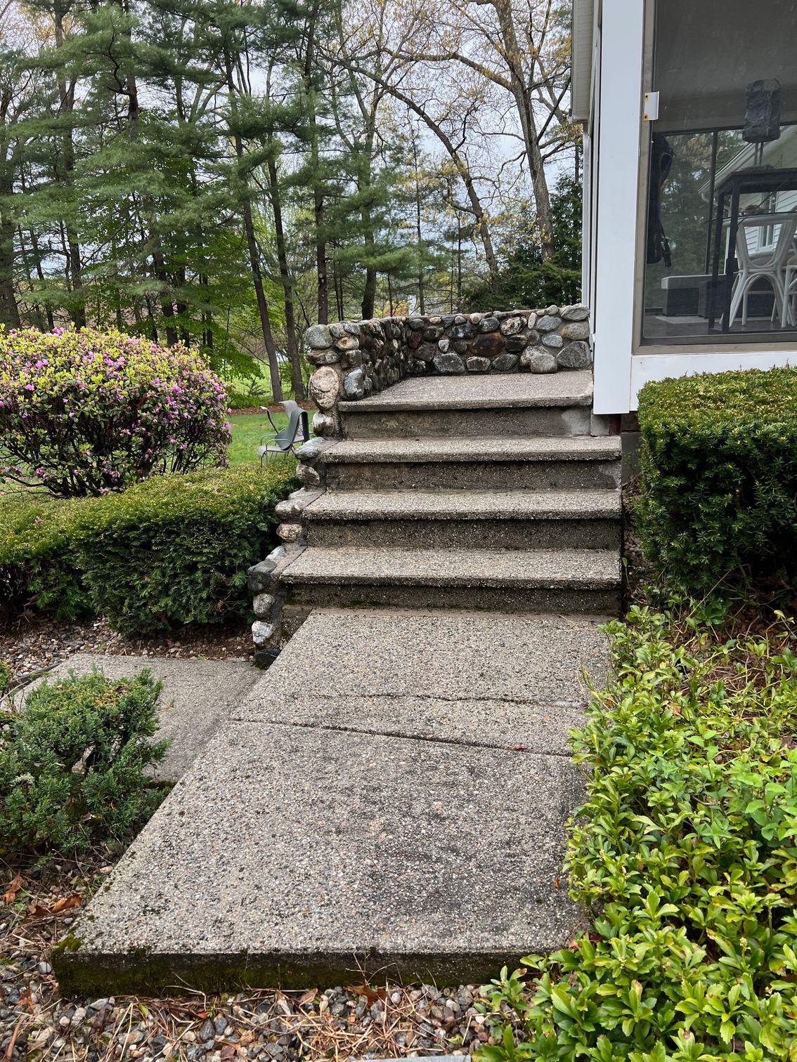 Concrete steps and walkway leading to a house, flanked by bushes and trees.