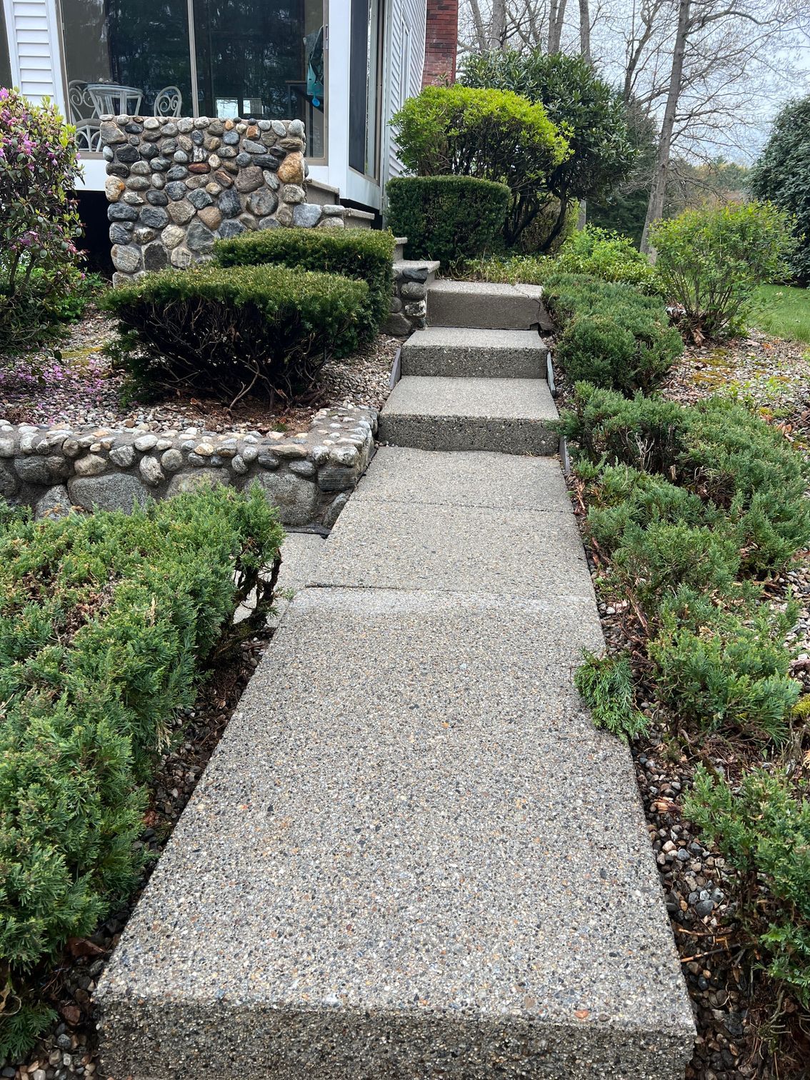 Concrete walkway and steps leading up to a house entrance, lined with green shrubs and a stone wall.