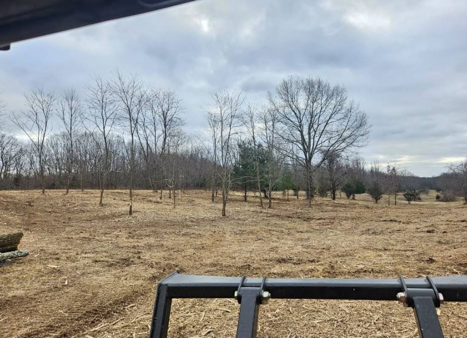 A view of a field from a vehicle with trees in the background.