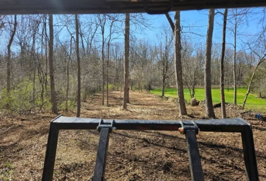 A view of a forest from the back of a vehicle.