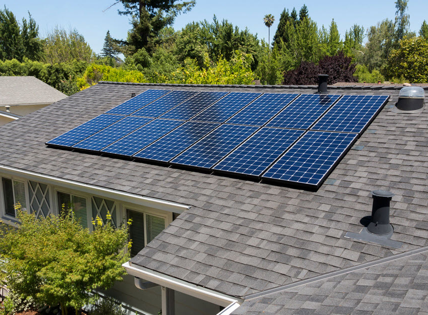 Solar comapnies Hamilton