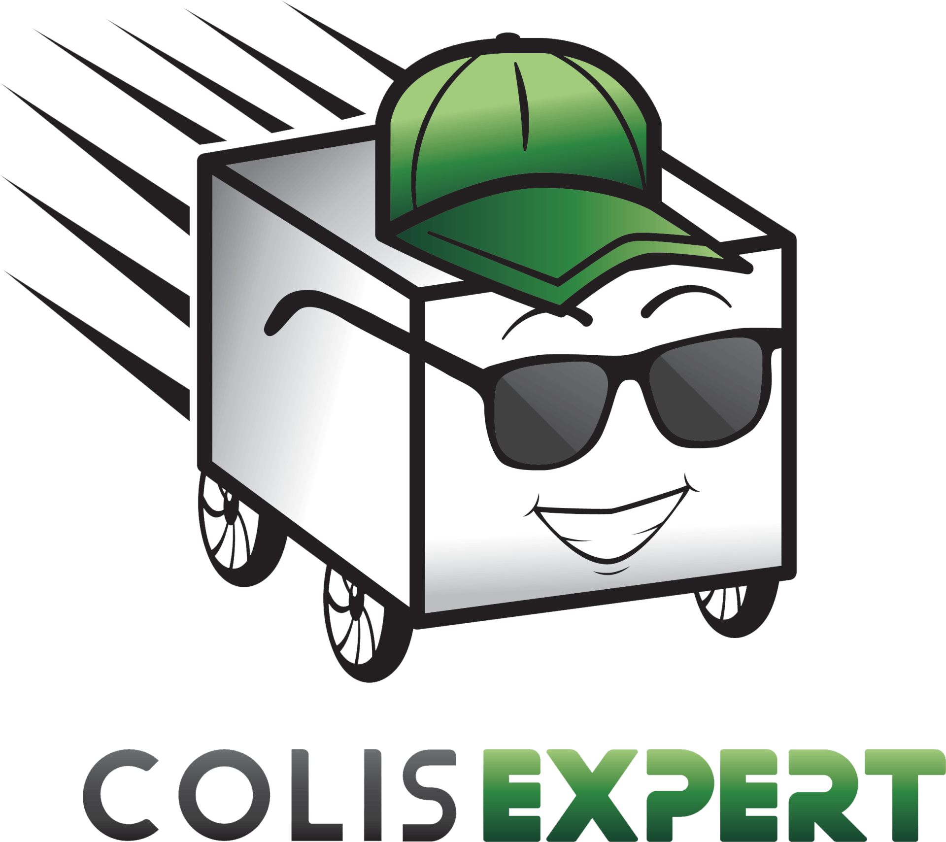 Colis expert inc logo
