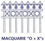 Macquarie OX — Numurkah, VIC — L & J Webb’s Fencing