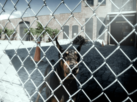 Snow Gate Fence — Numurkah, VIC — L & J Webb’s Fencing