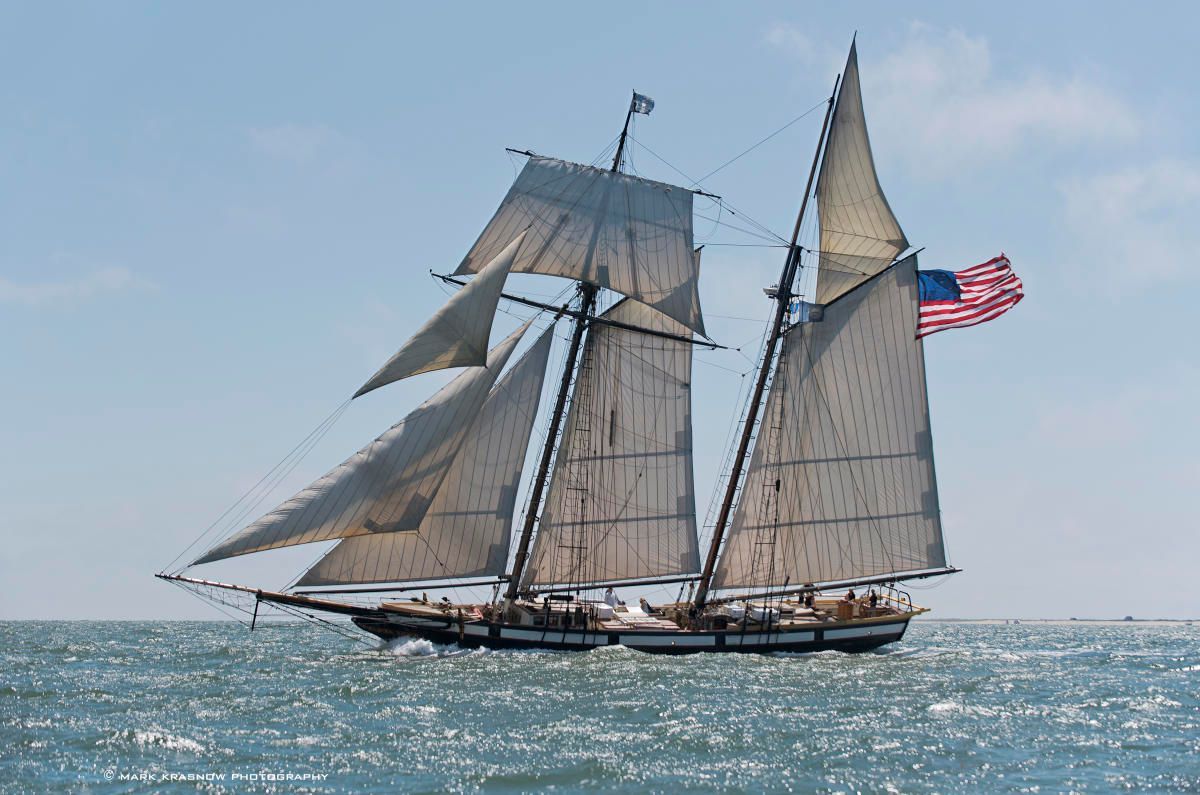 A sailboat with the number 5 01 on the sail