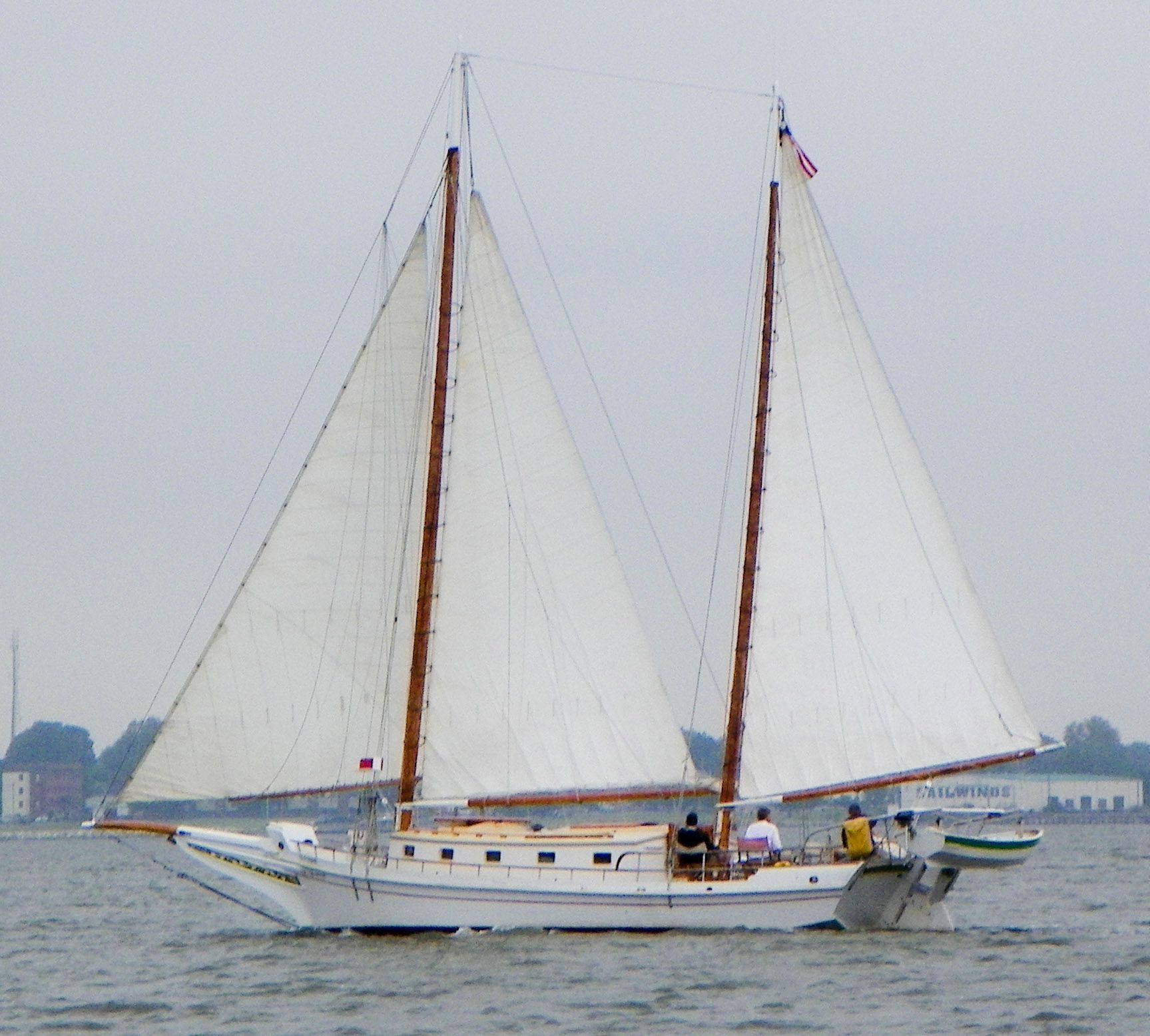 A sailboat with the number 5 01 on the sail