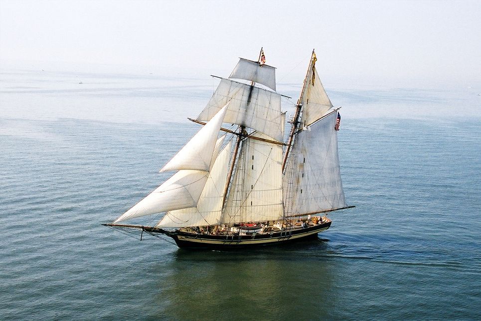 A sailboat with the number 5 01 on the sail