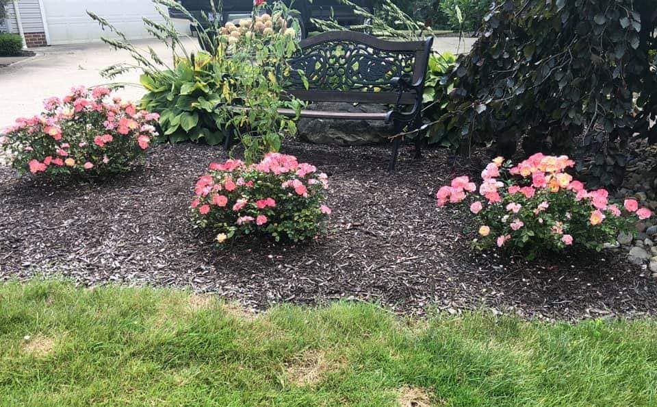 Flowers — Atwater, OH — Northern Buckeye Lawn & Landscape