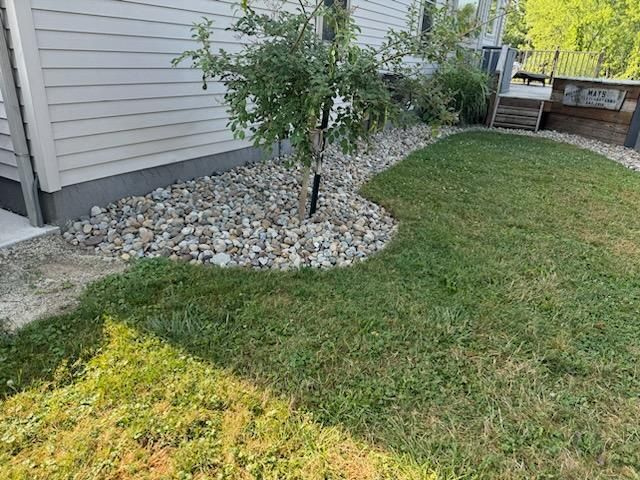 A lawn with a tree in the middle of it next to a house.