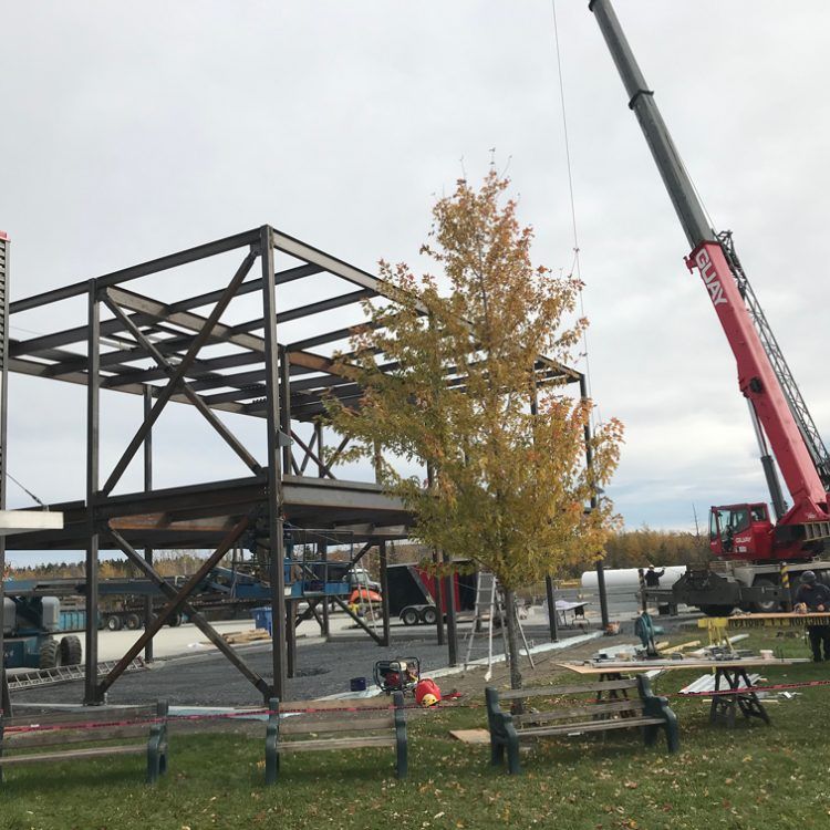 Charpente métallique d'un bâtiment en construction, avec grue, arbre et chantier ; ciel gris.
