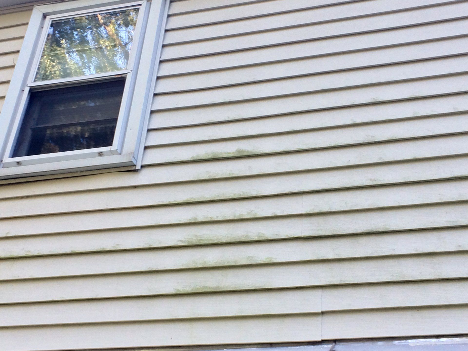 Damaged siding