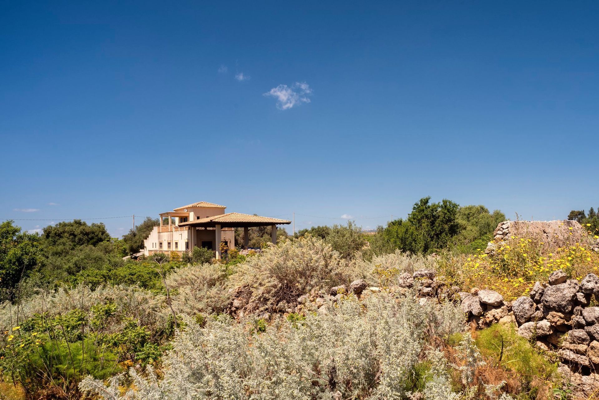 RAVIDA Olivenöl – Sizilien, Italien