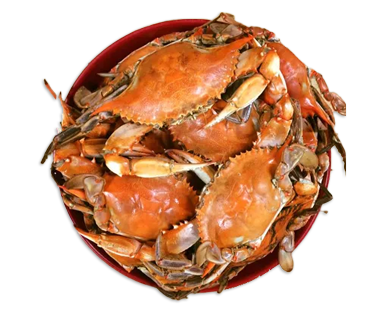 Crabs — New Iberia, LA — R & M's Boiling Point Crabs — New Iberia, LA — R & M's Boiling Point