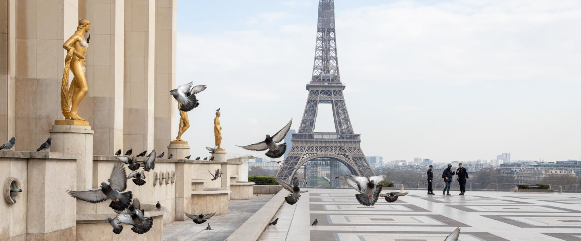 Paris Black Owned Businesses