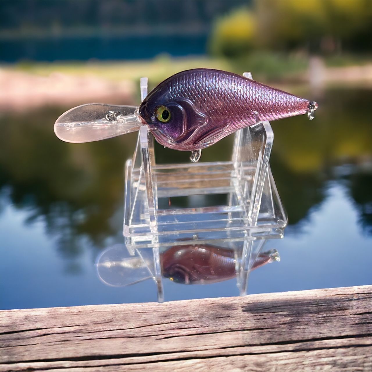 Dinner Bell
