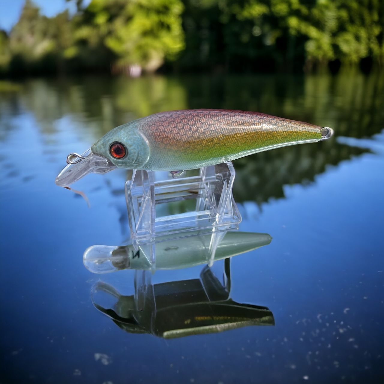 Zombie Gill