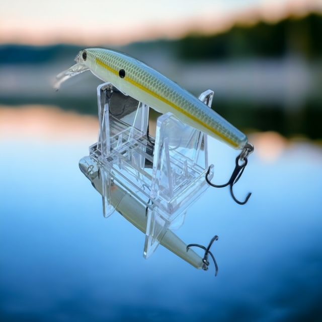 sexy shad