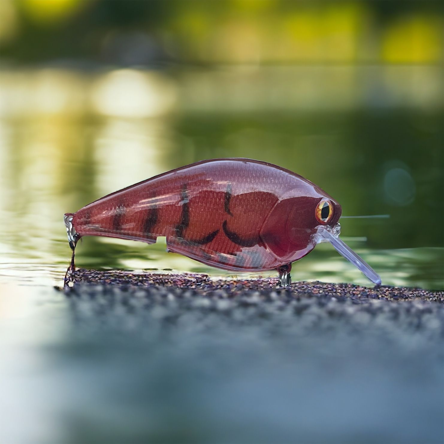 old red craw