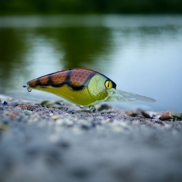 Creature Craw