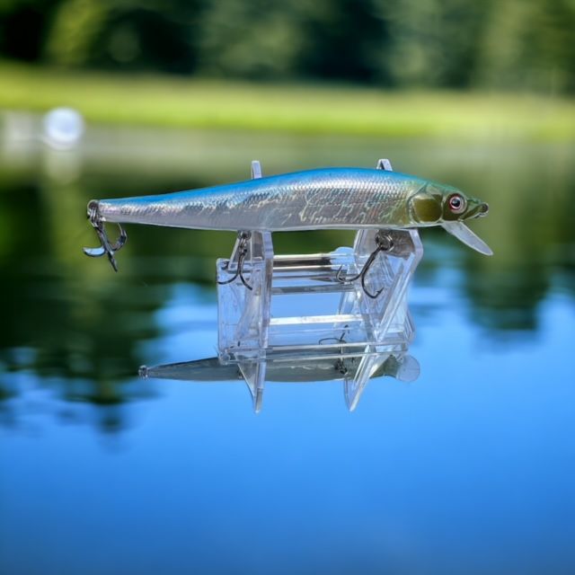 sexy minnow