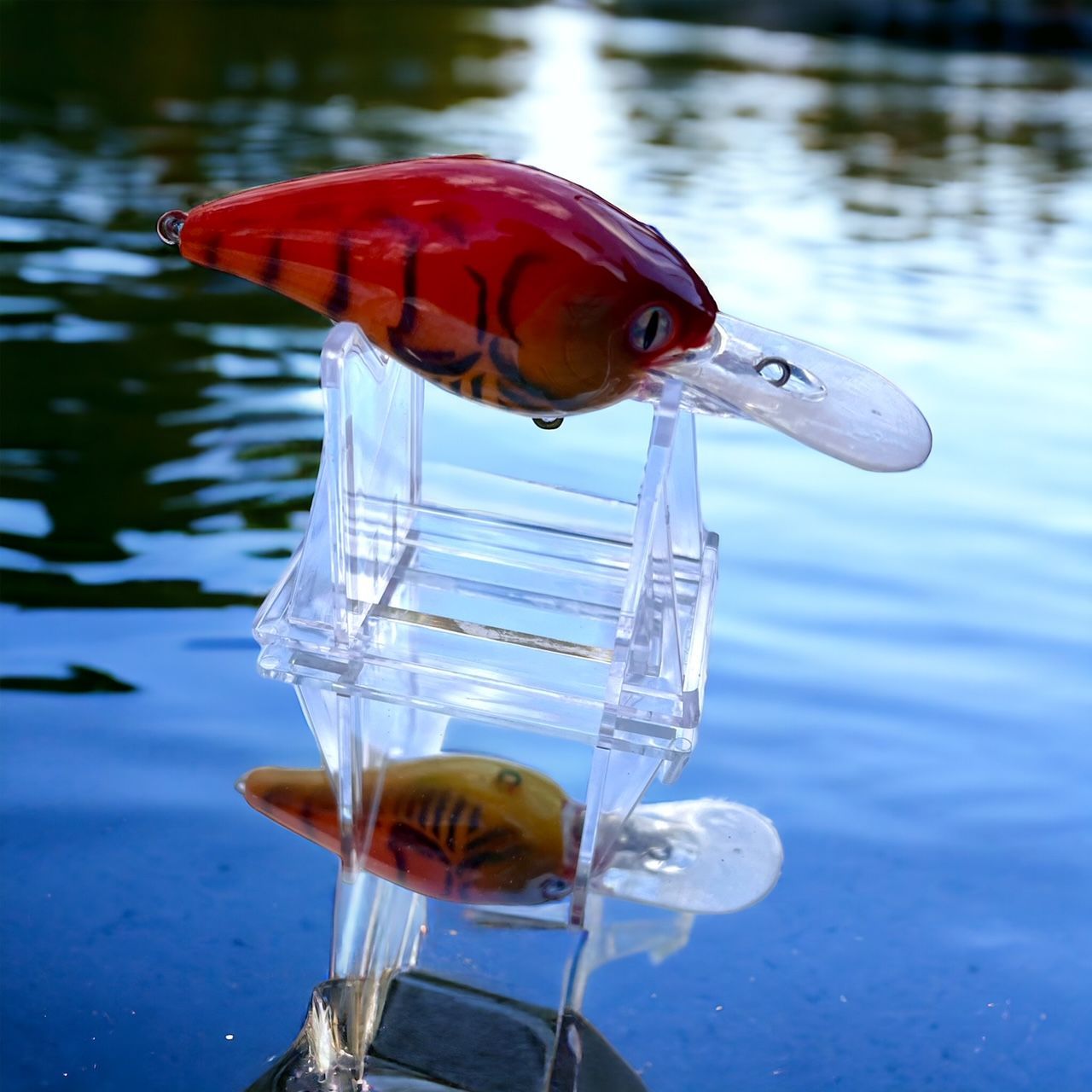 Blazin craw