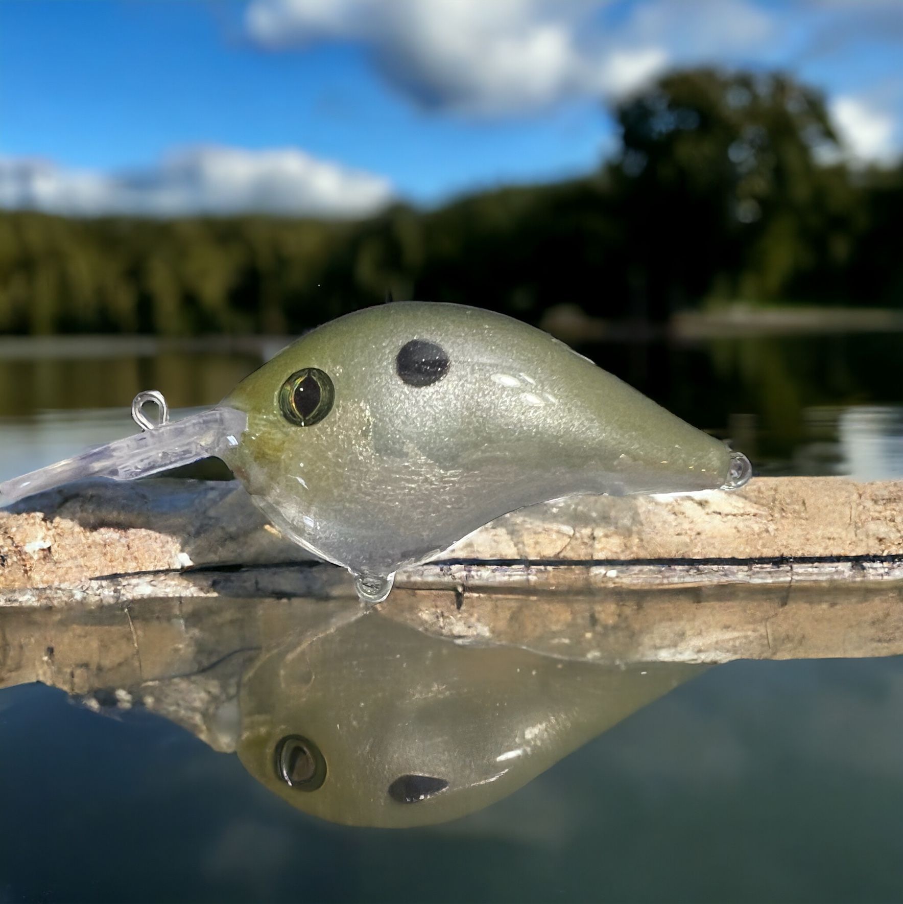 bob