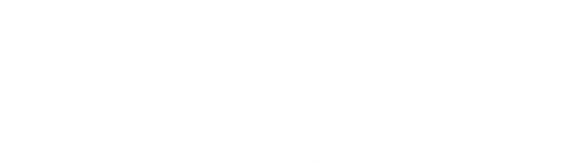 A white background with a few lines on it