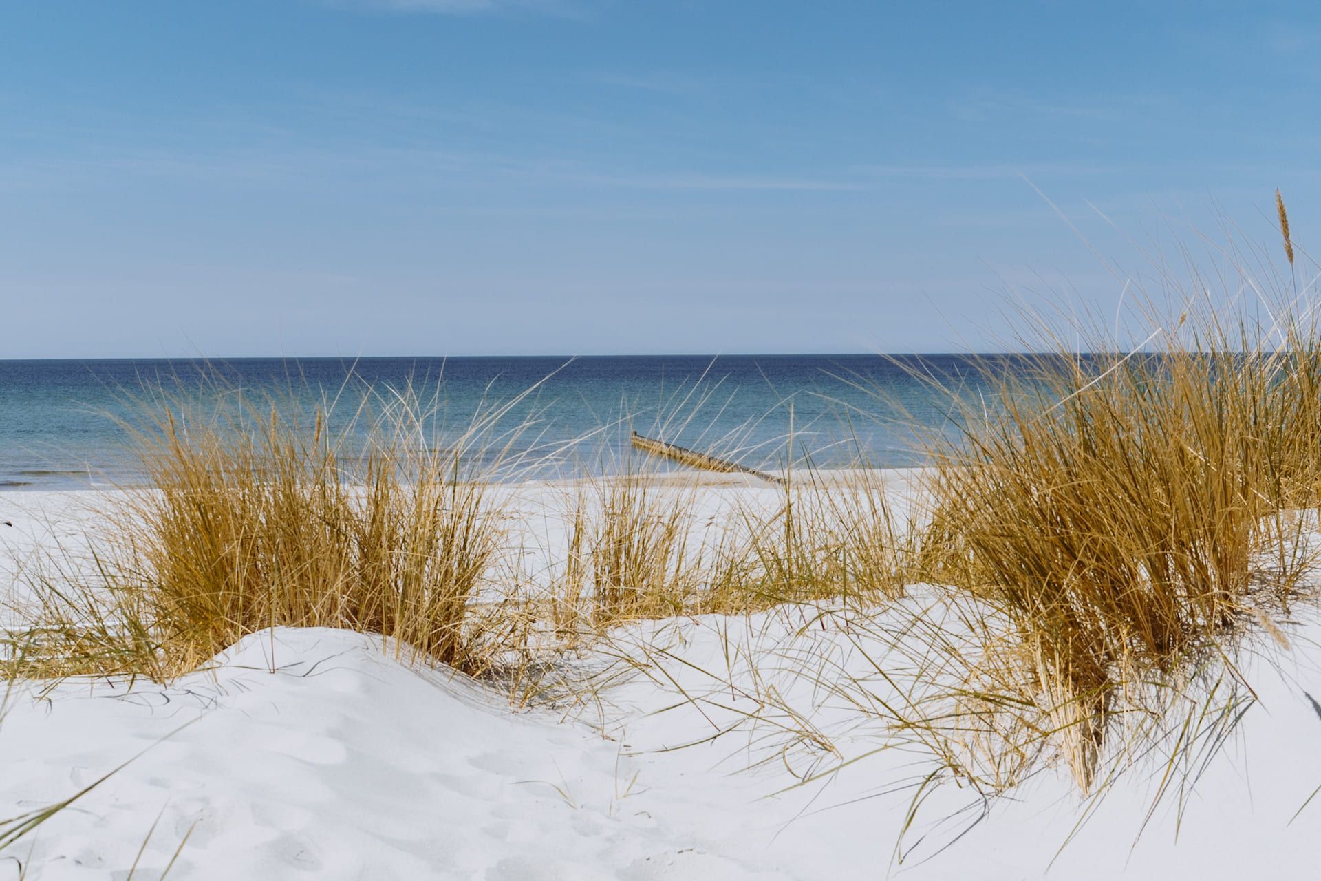 Rügens Natur erleben mit Kreidefelsen, Baumwipfelpfad und entspannten Tagen auf Hiddensee.