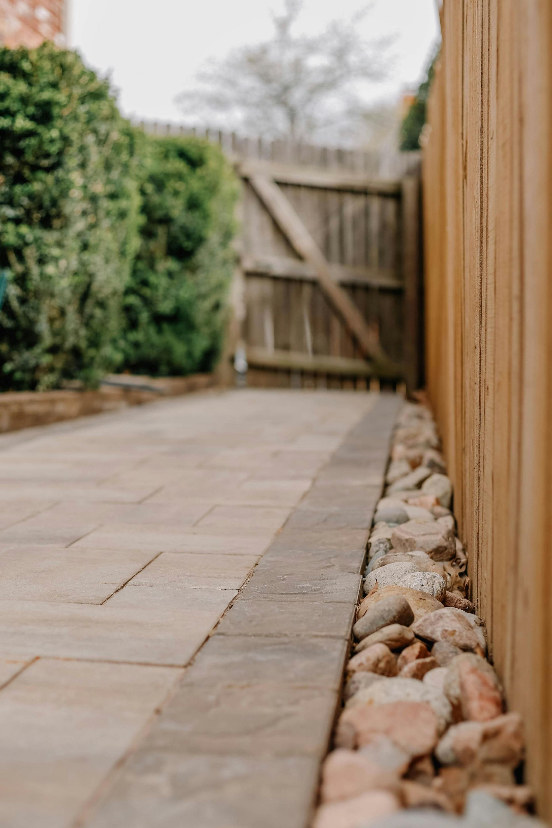 Paved garden path beside a wooden fence, lined with rocks and bordered by greenery