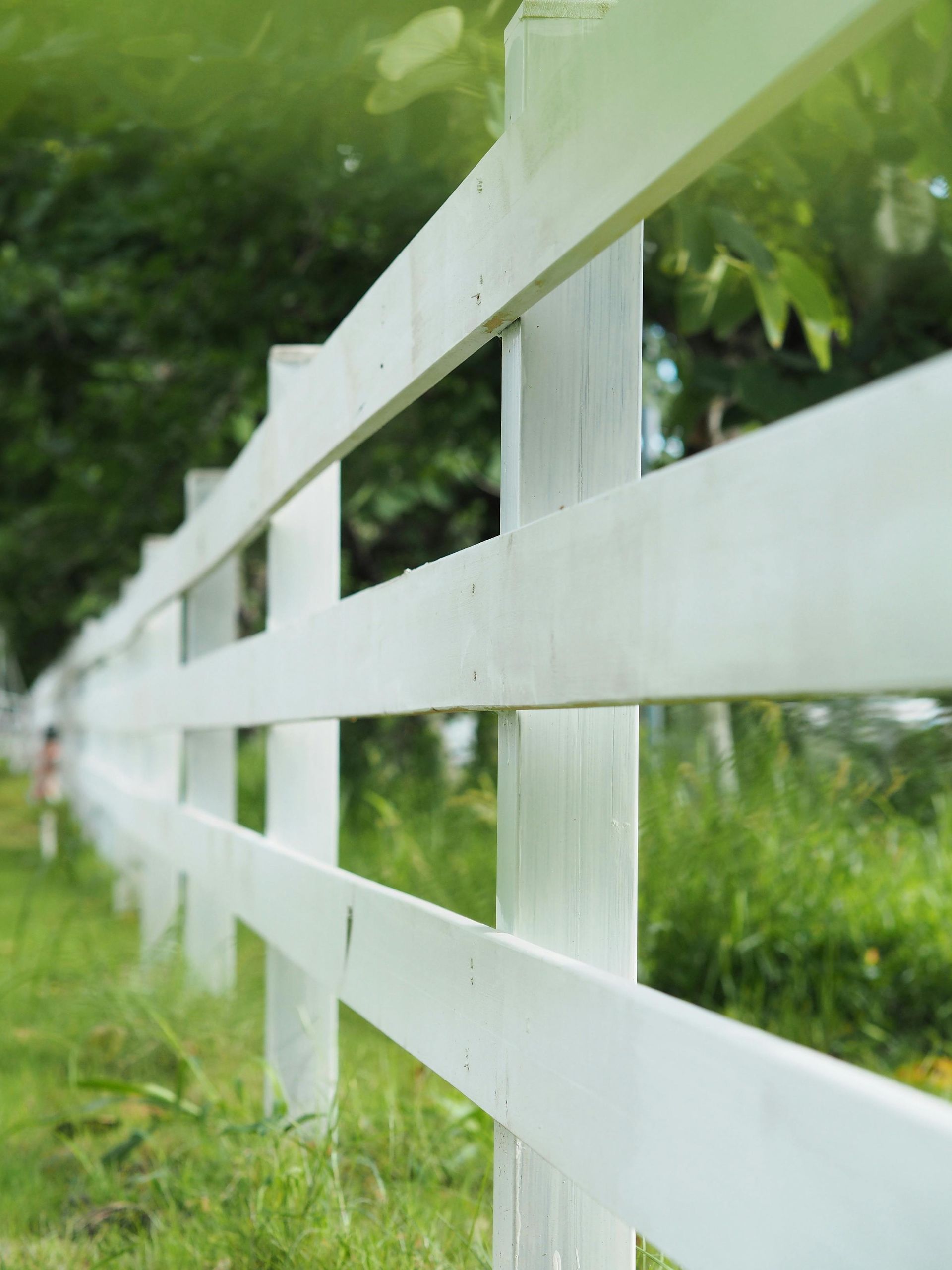 White wooden fence along a grassy path with green trees in the background