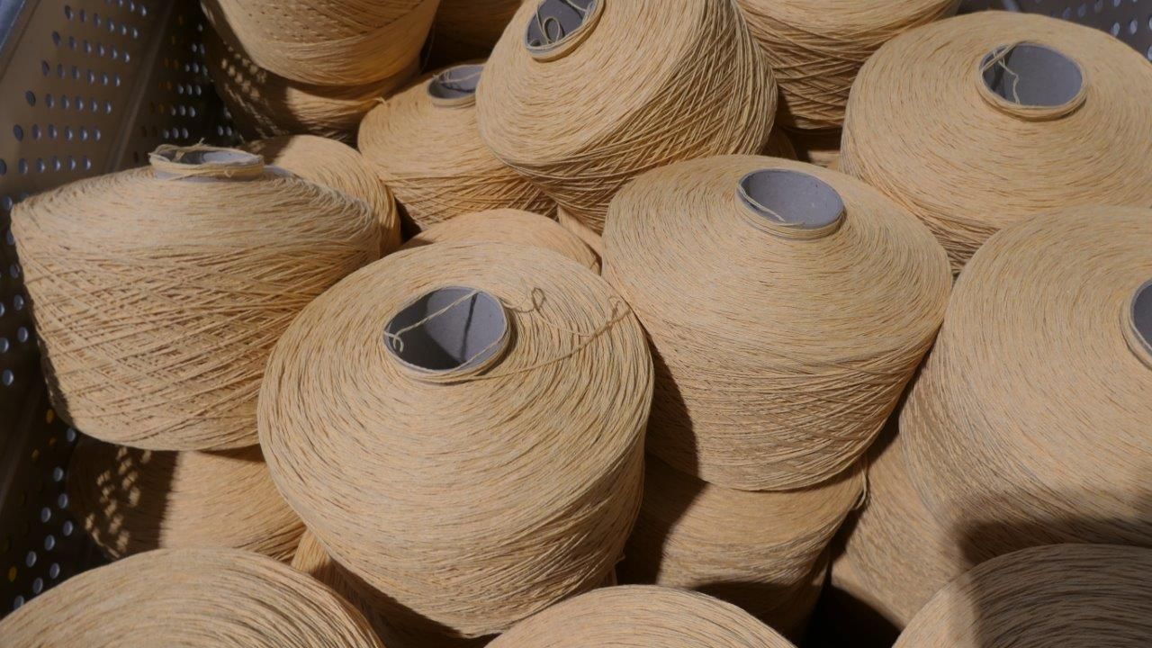 Un contenitore pieno di numerose bobine di filato color beige chiaro, ciascuna avvolta a forma di cono affusolato.