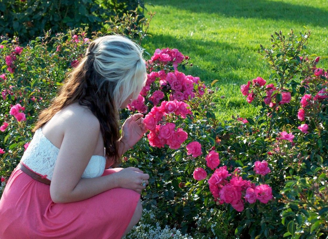 Person crouching by pink roses in a green garden, looking closely at the flowers.